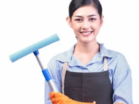 Cleaning Agencies