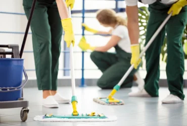 Expert Cleaning Services