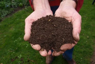 Lawn Compost