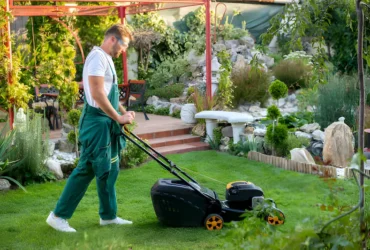 Lawn Maintenance And Landscaping