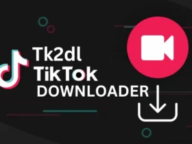 Tk2Dl