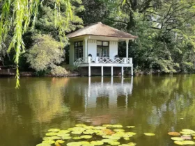 Lake Cottage